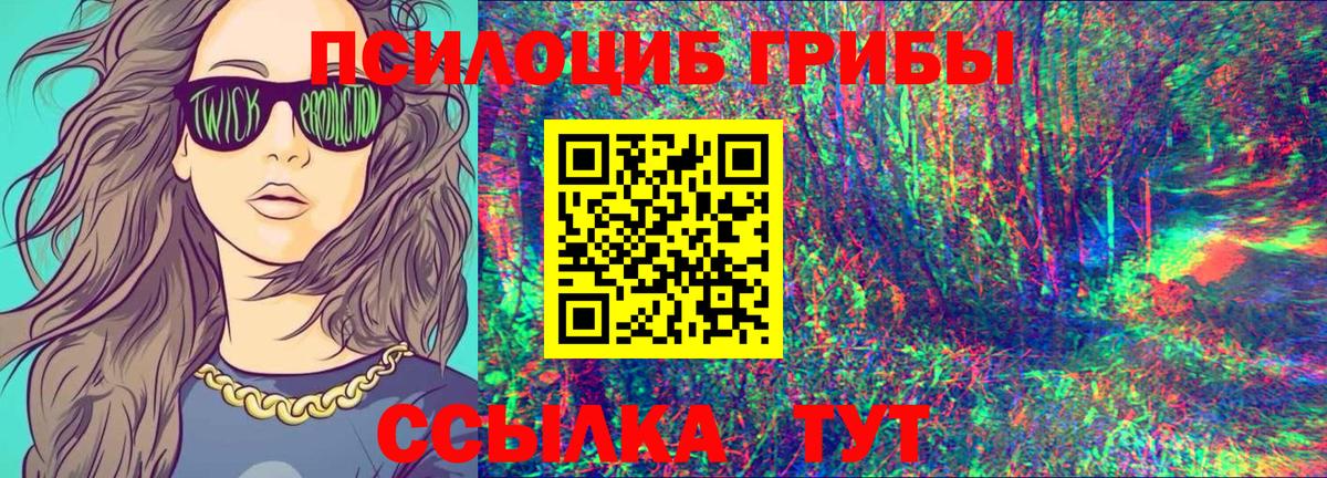 Кострома  Псилоцибиновые грибы ЛСД  Вход с VPN 
